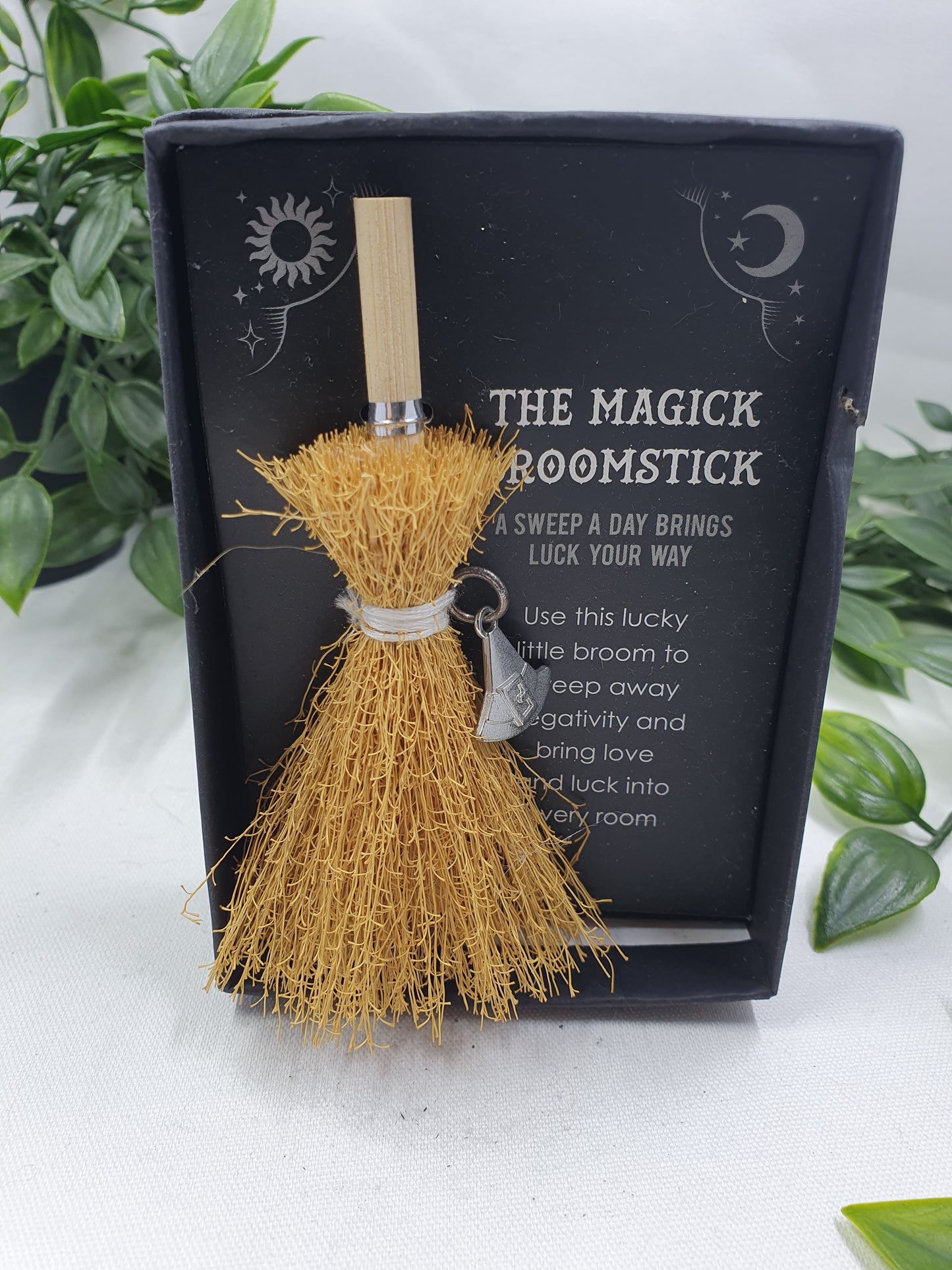 Magick Broomstick #3