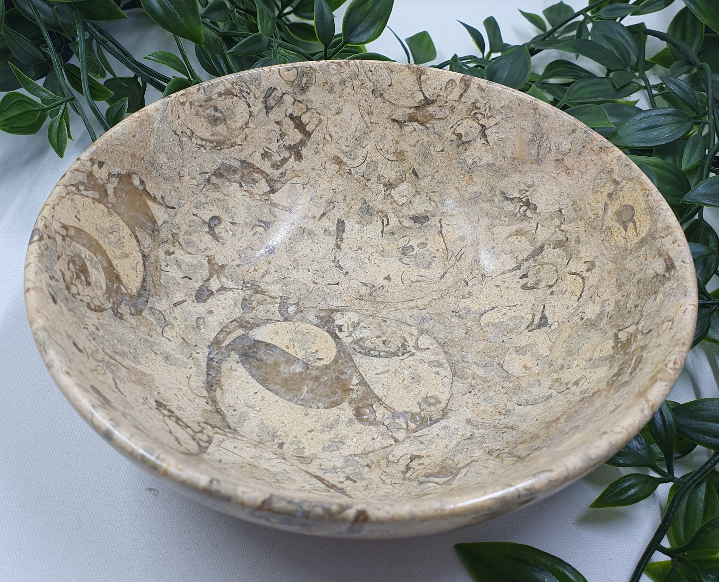 Fossil Coral Bowl