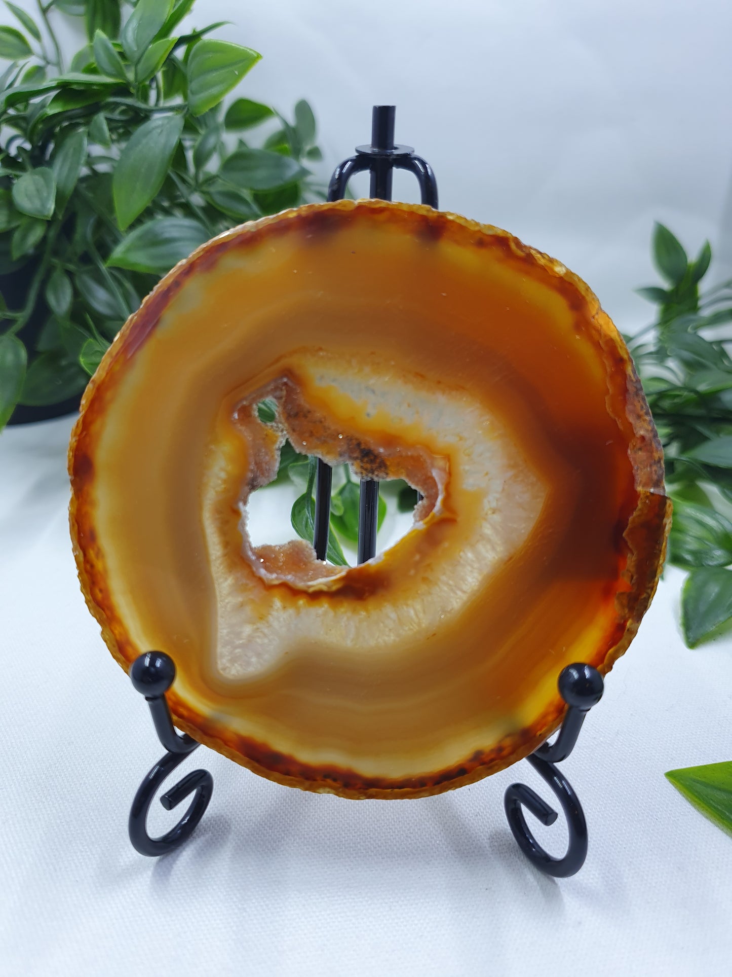 Dyed Agate Slice #3