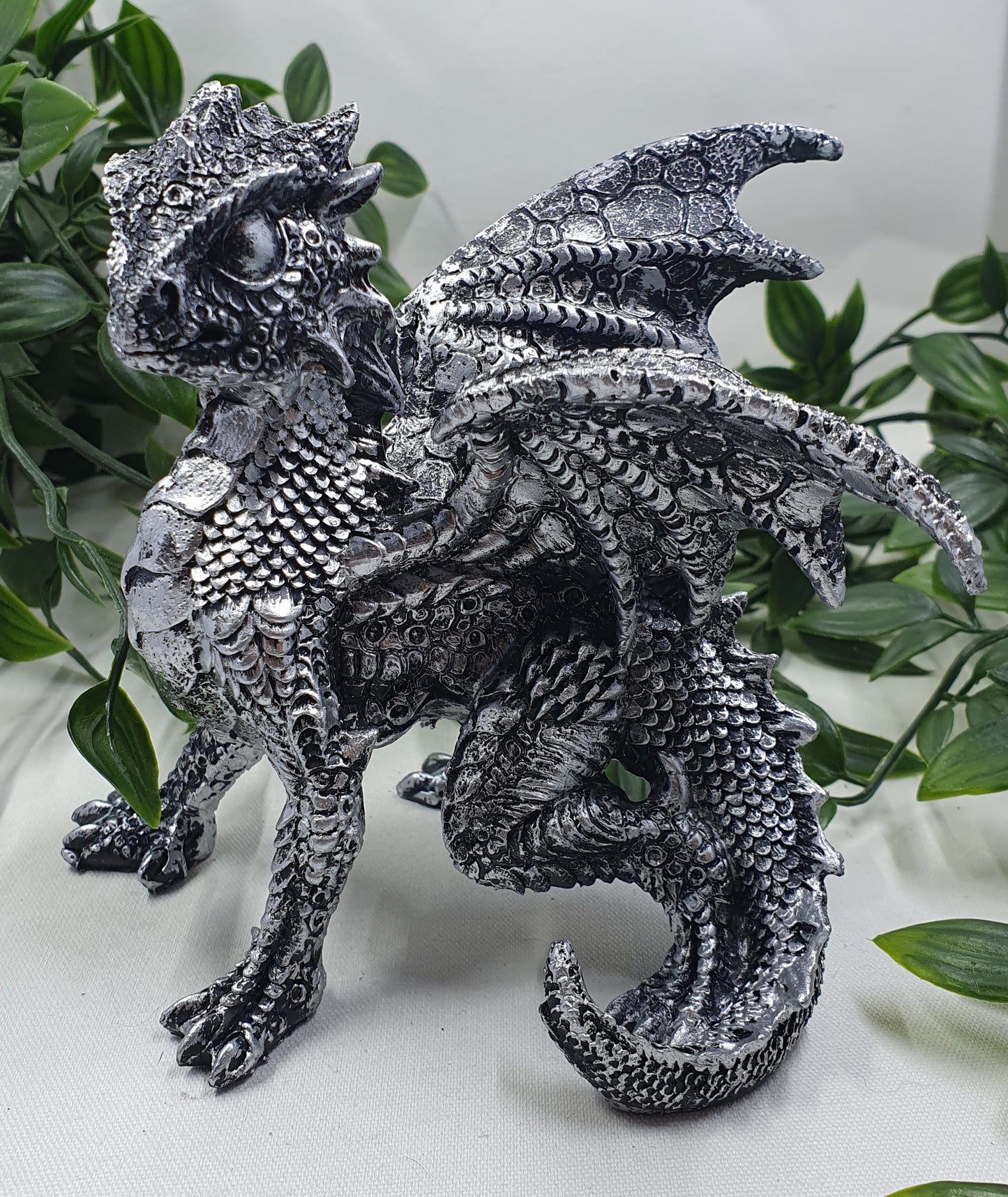 Silver Dragon in Defence Pose