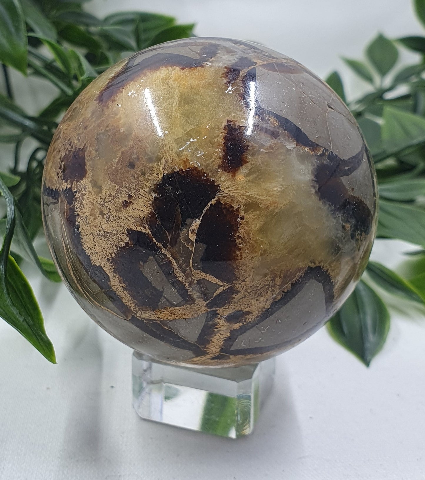 Septarian Sphere #1