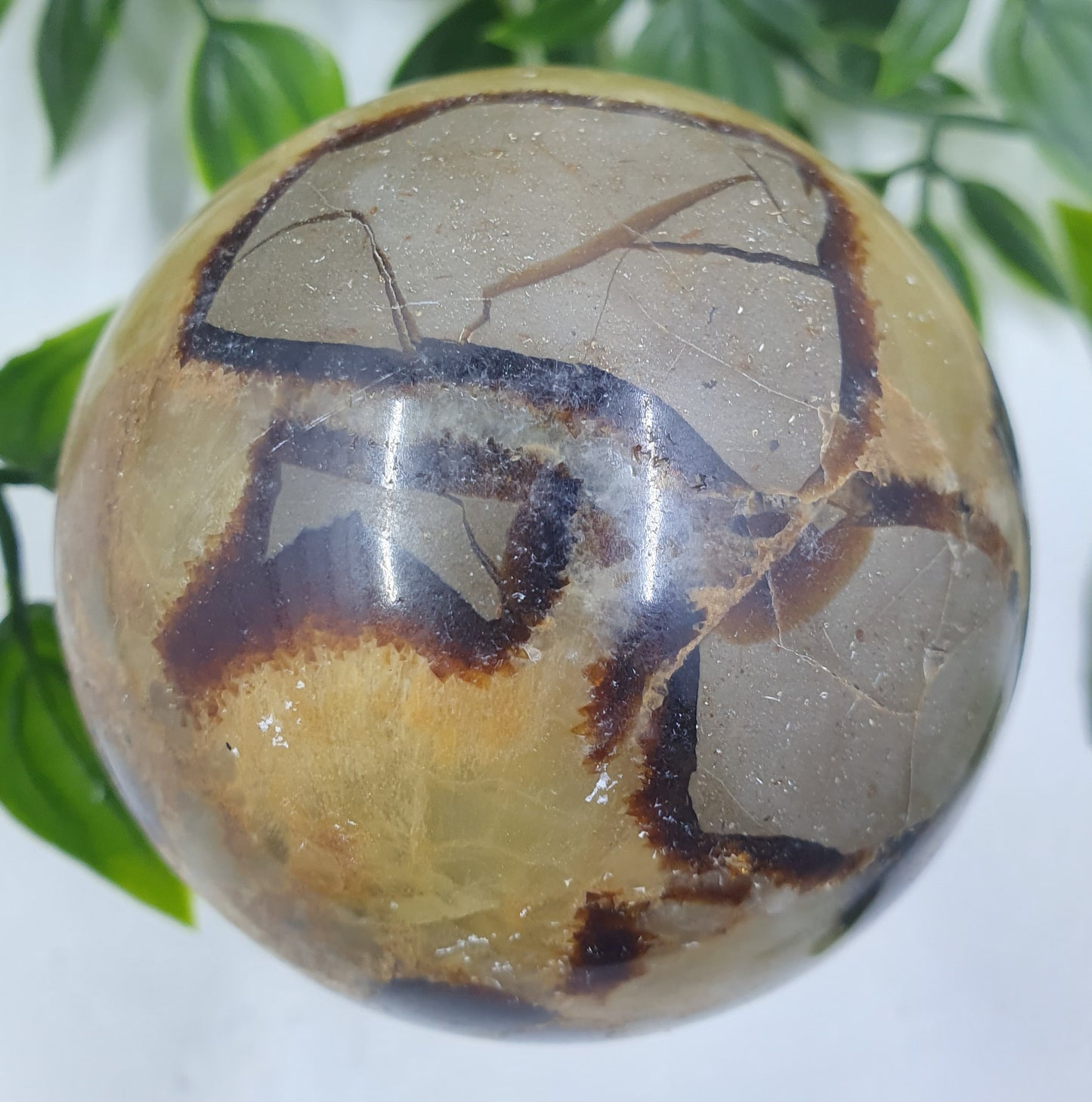 Septarian Sphere #1