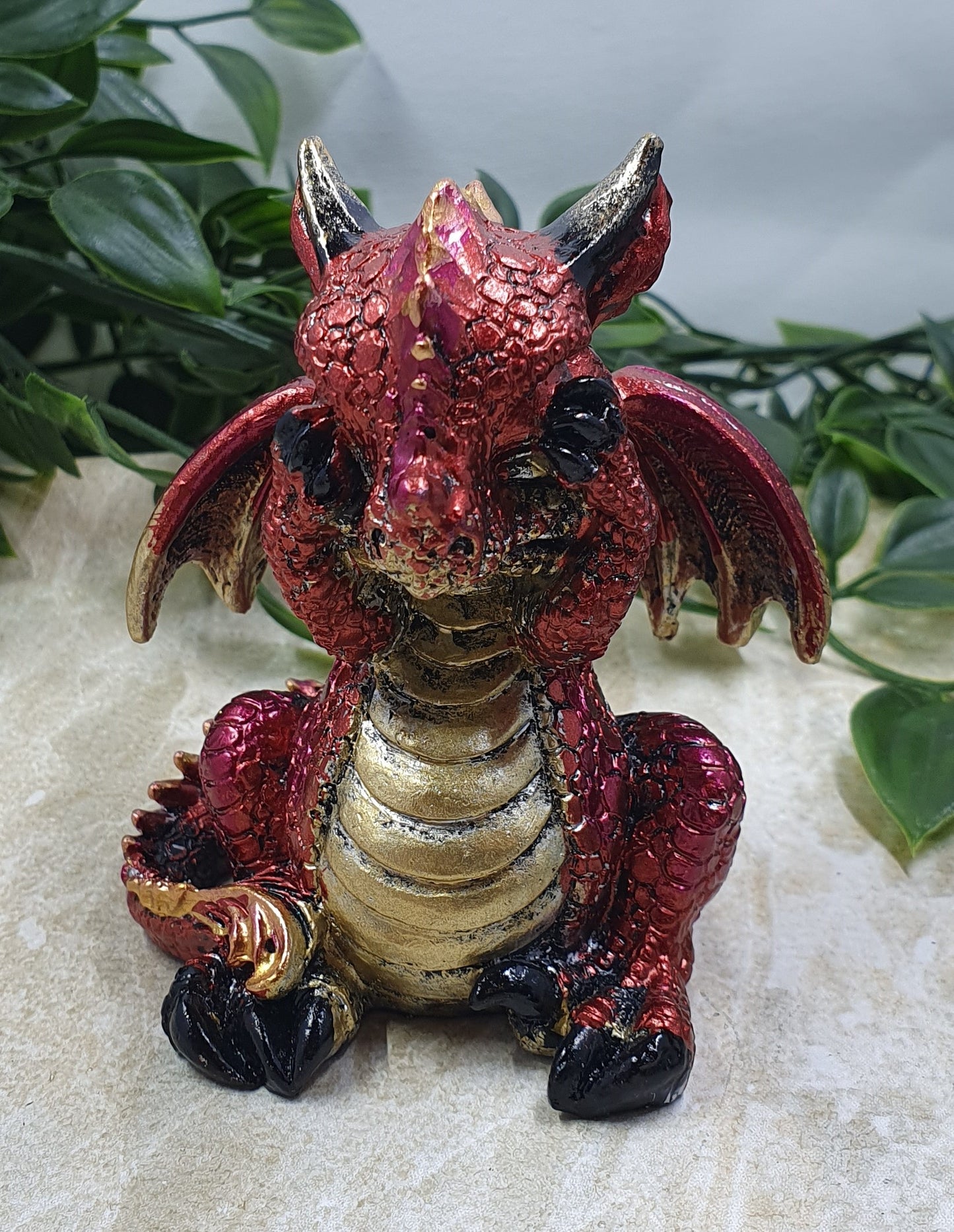 Wise Red Dragon