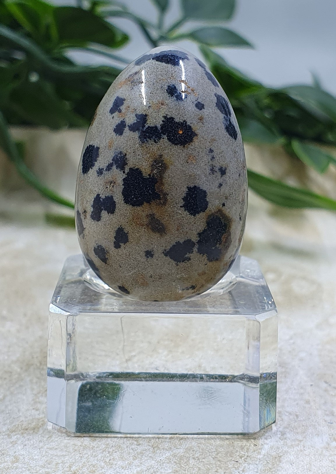 Dalmatian Jasper Mini Egg