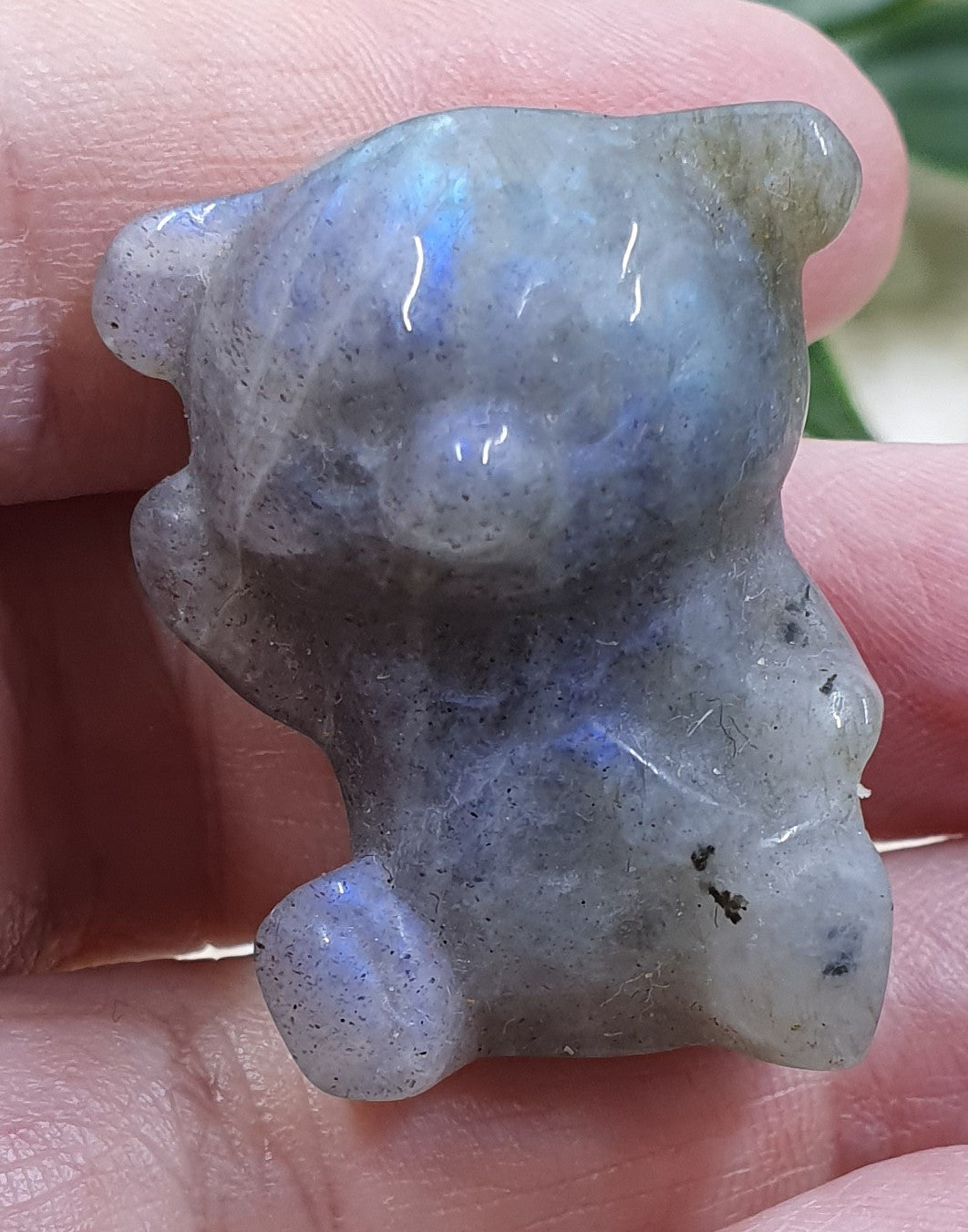 Labradorite Bear Carving