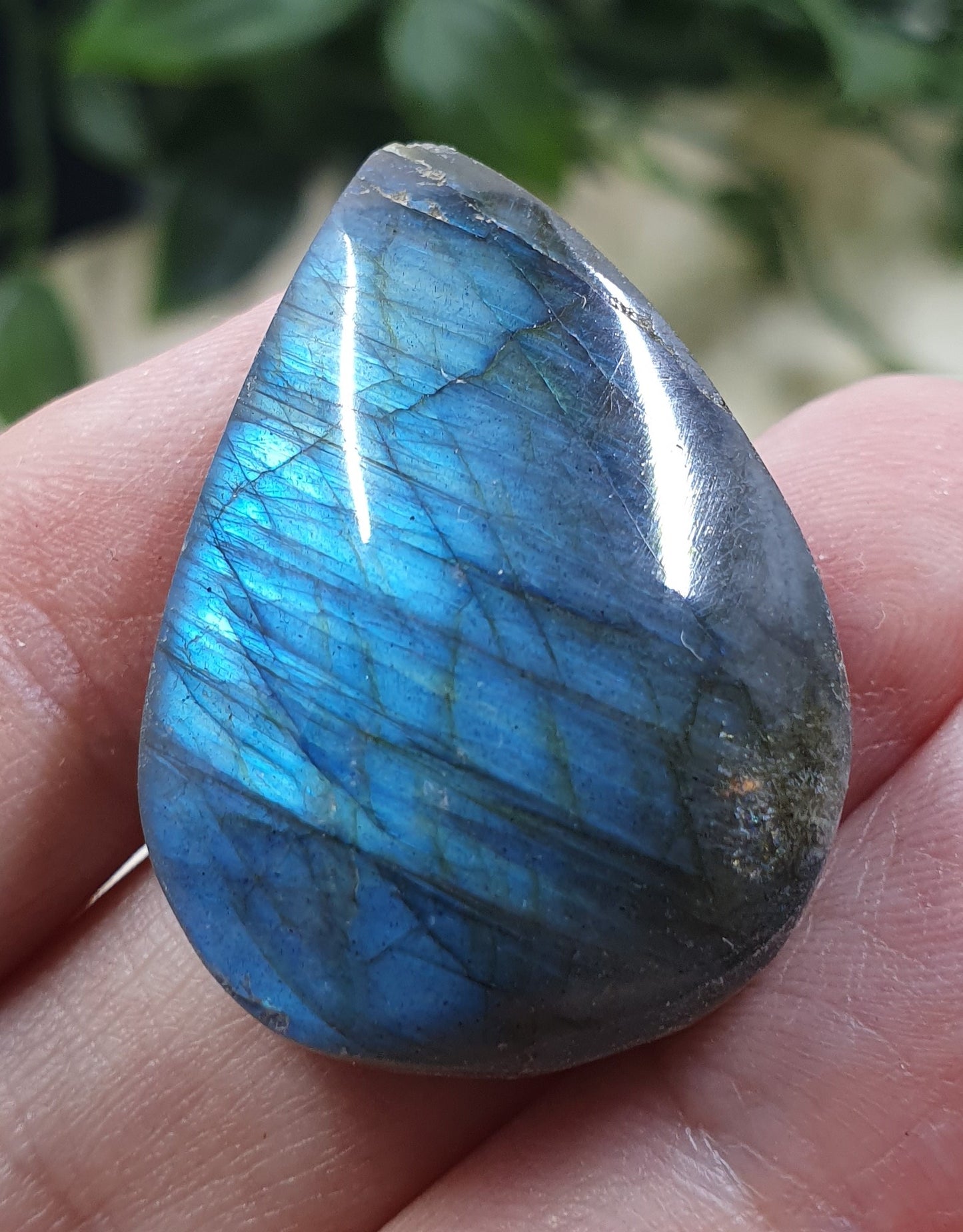 Labradorite Tear Drop #4