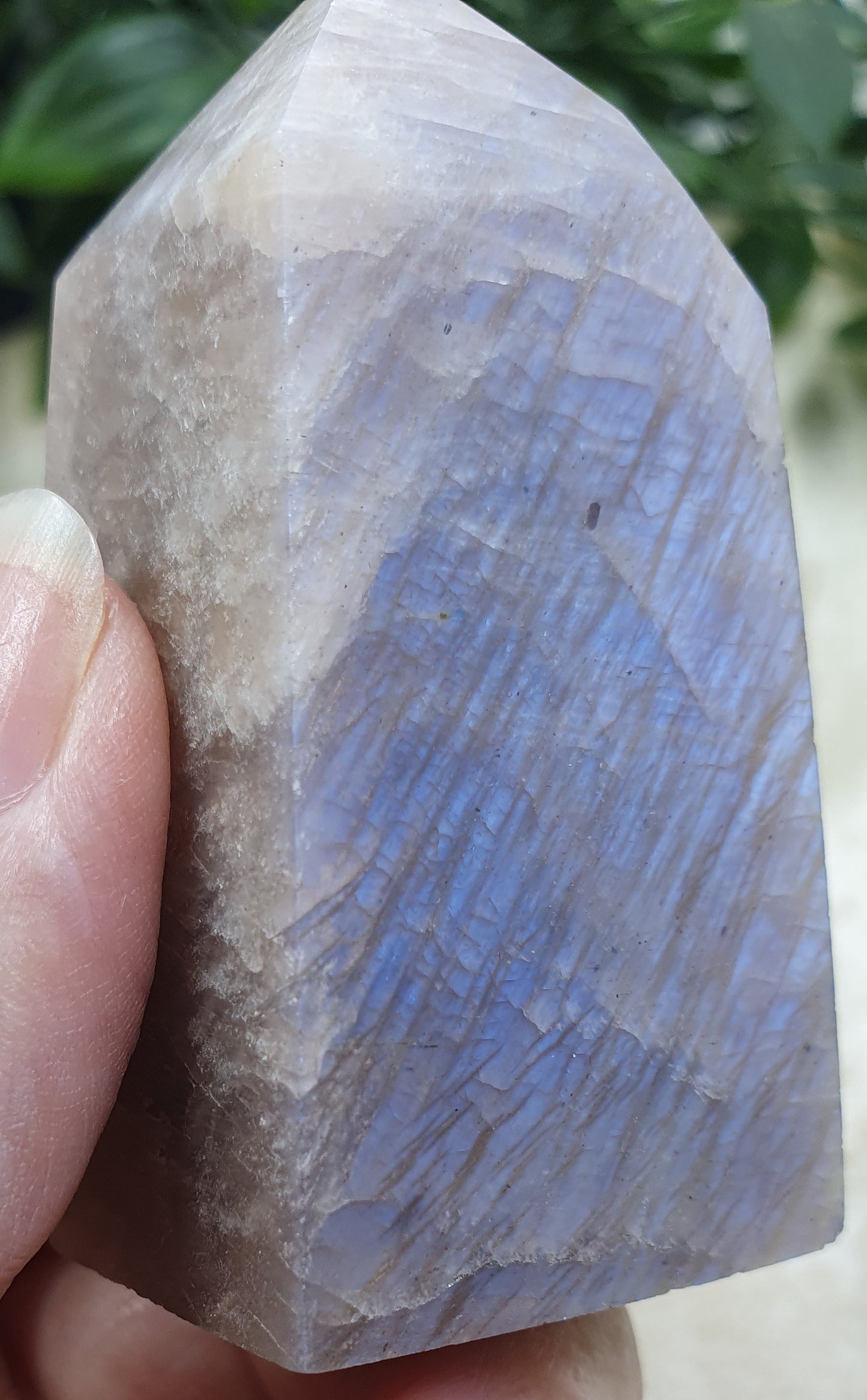 Blue Moonstone Points #10