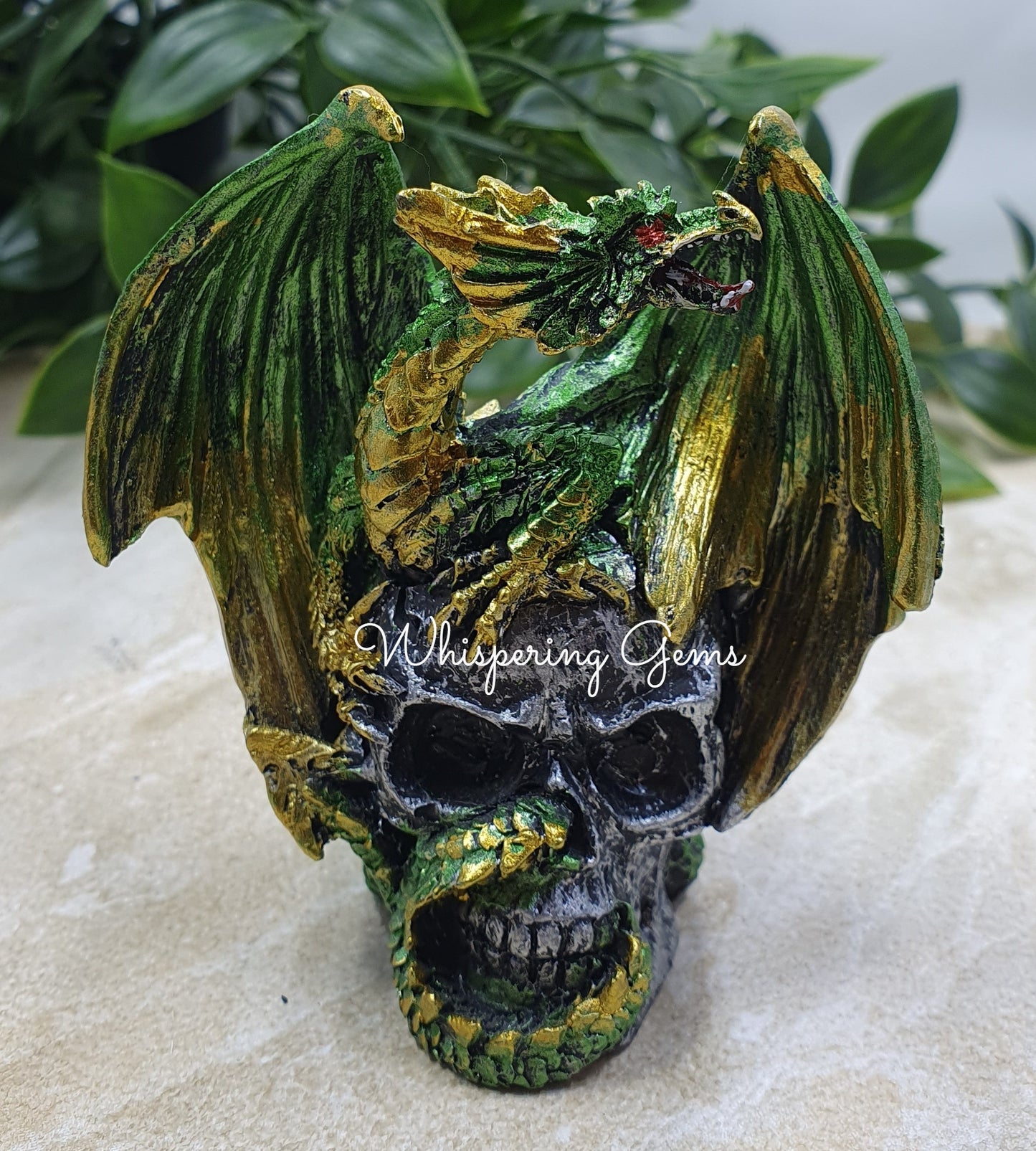 Dragon on Skull - Green