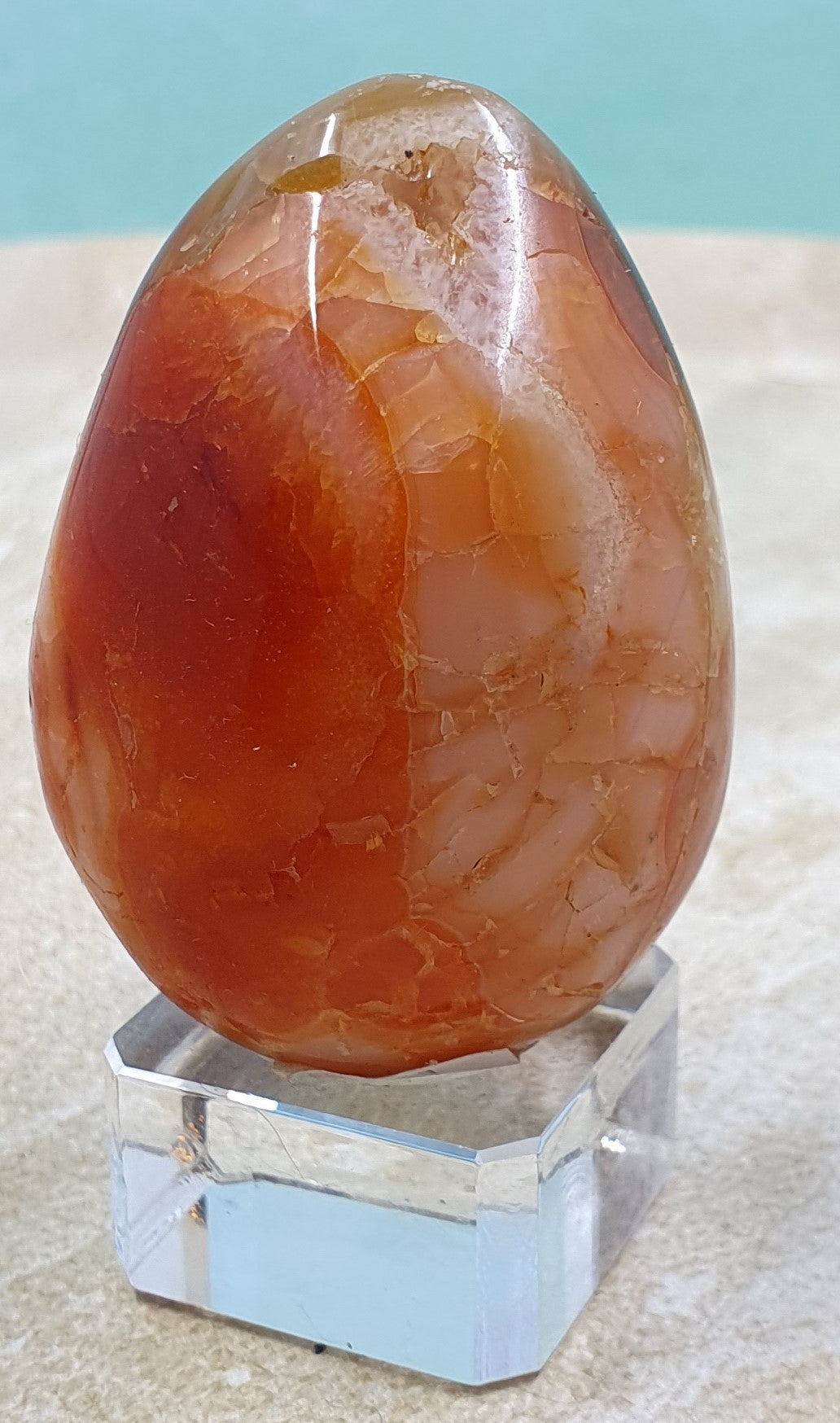 Carnelian Egg #5