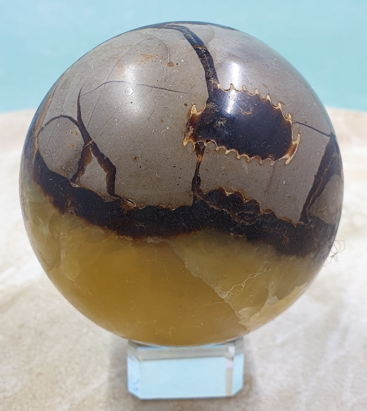 Septarian Sphere #3