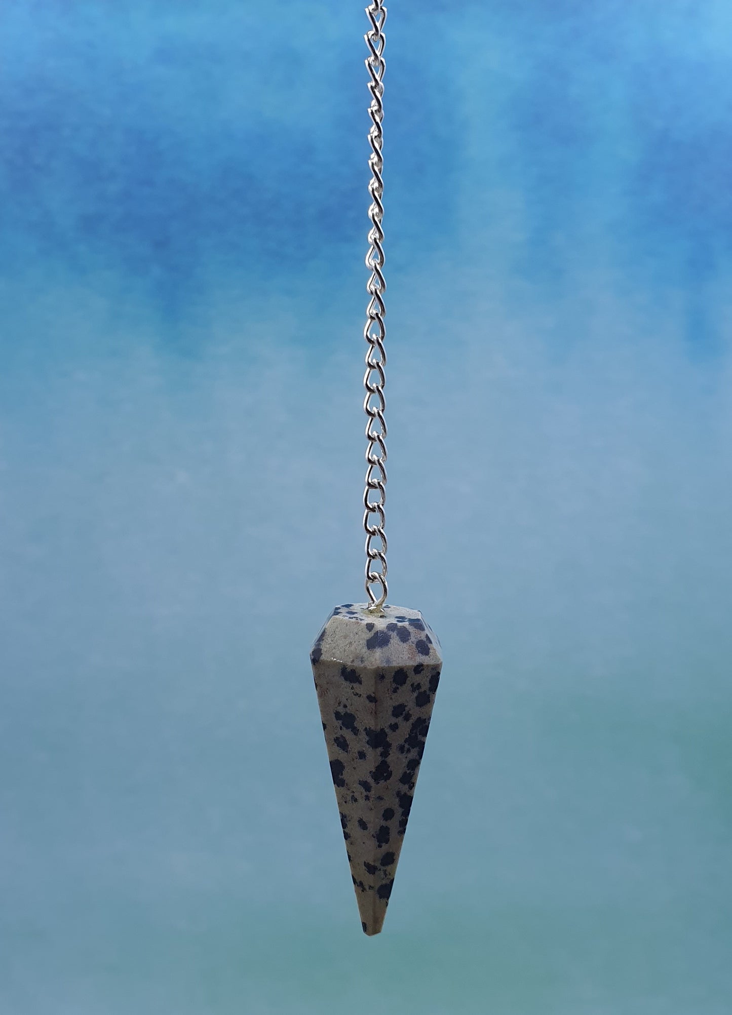 Dalmatian Jasper Pendulum