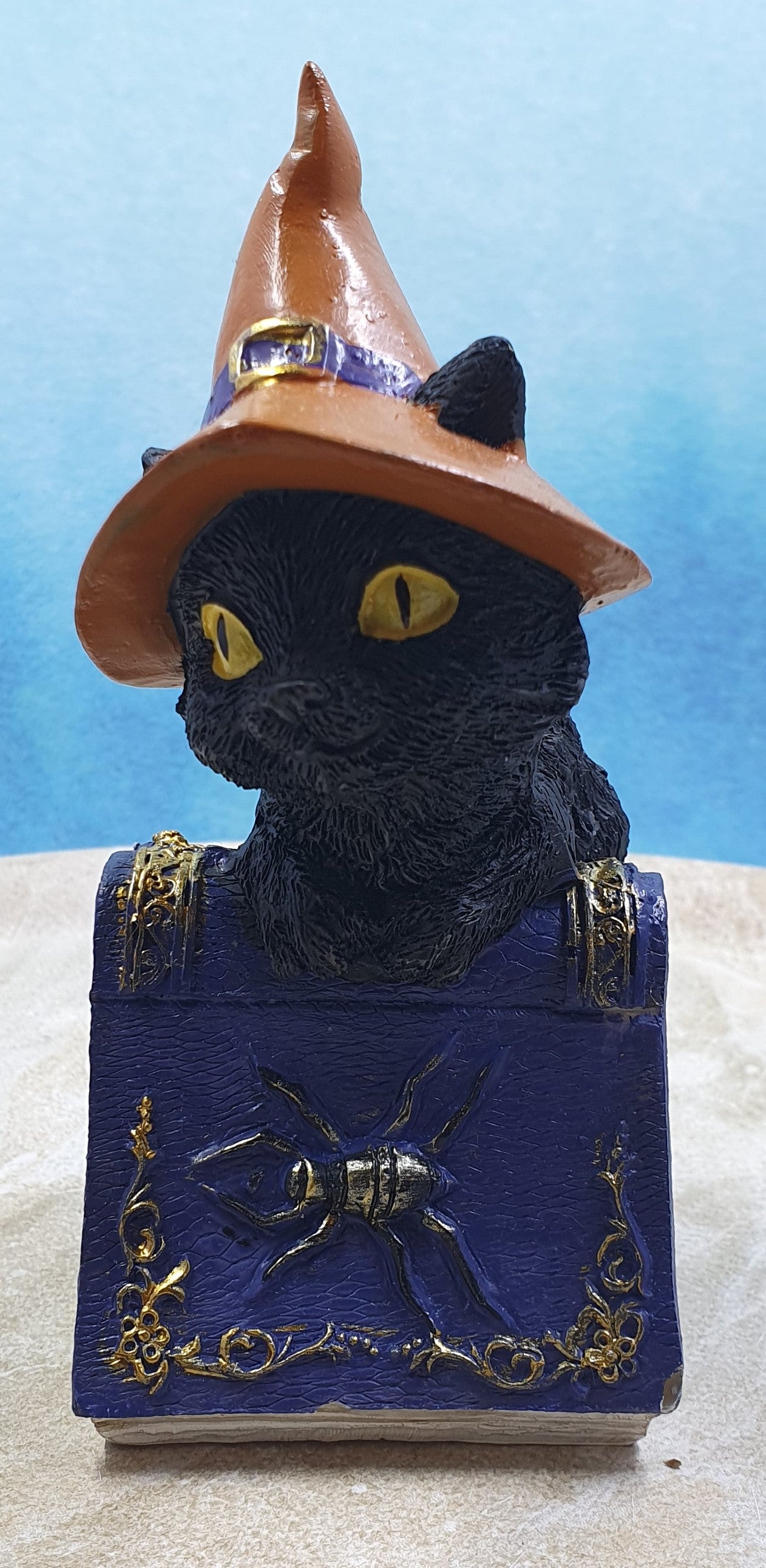 Witch Cat on Spell Book