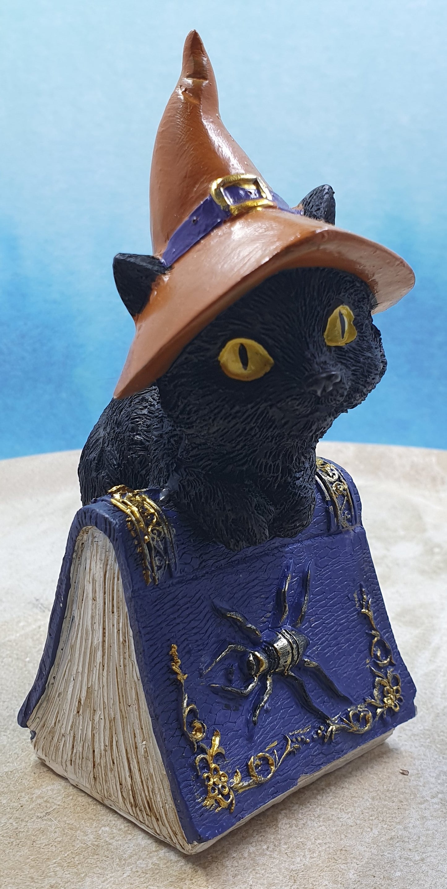 Witch Cat on Spell Book