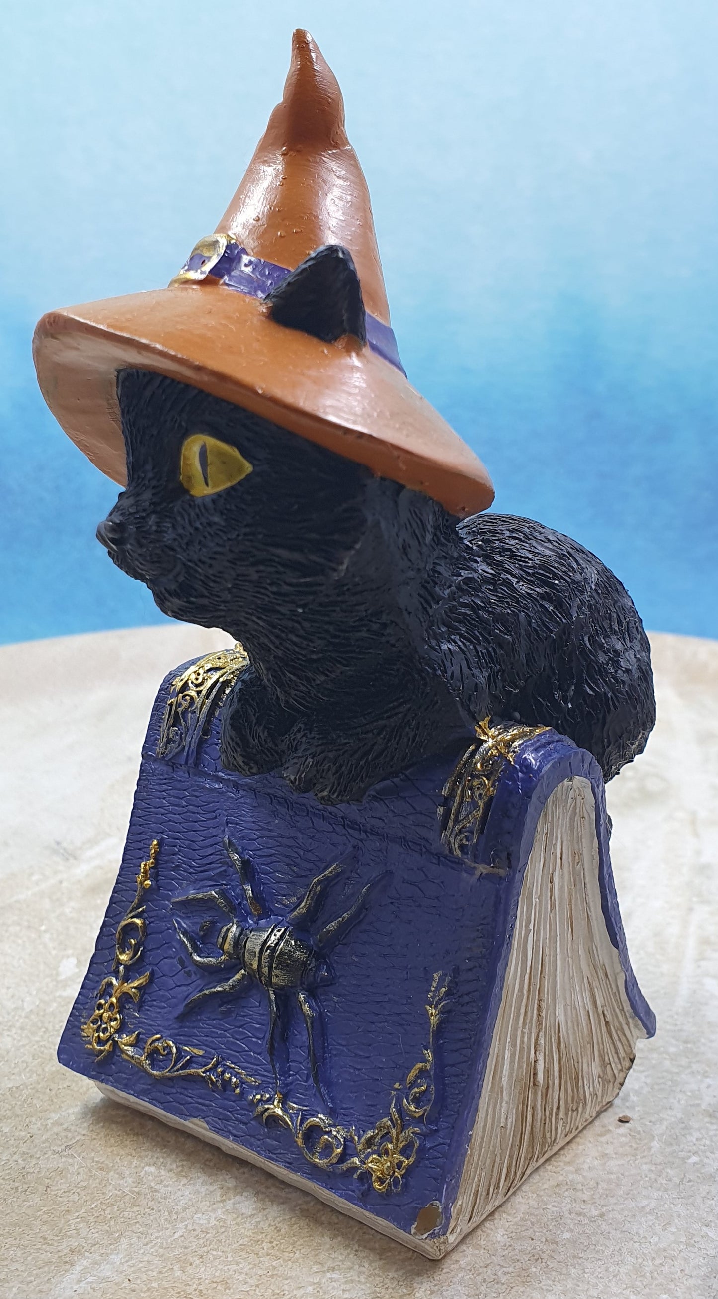 Witch Cat on Spell Book