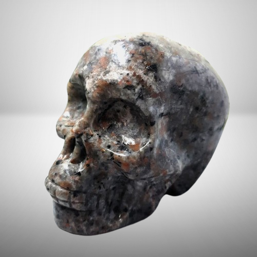 Yooperlite Skull