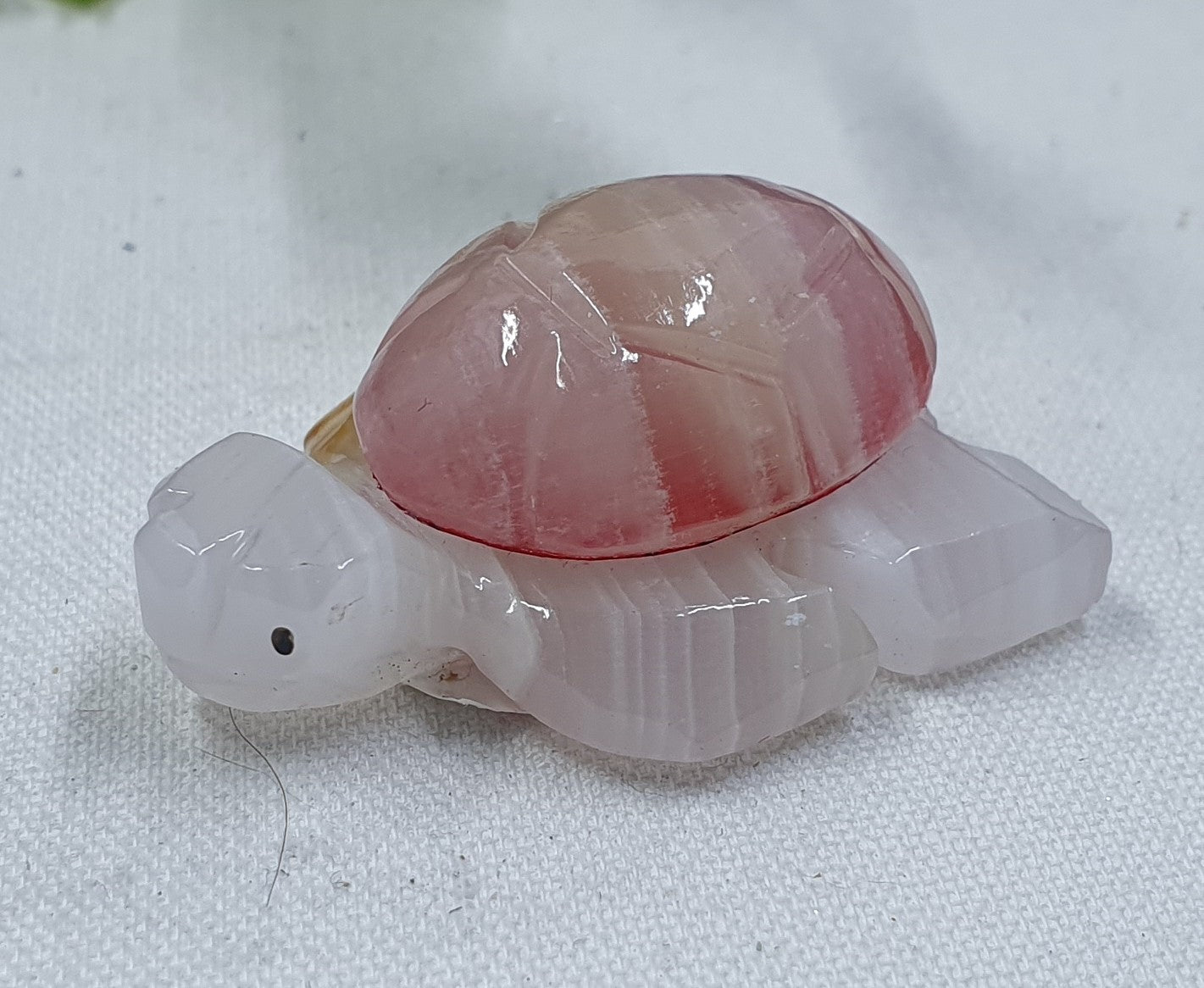 Damaged Item - Red Onyx Turtle #1