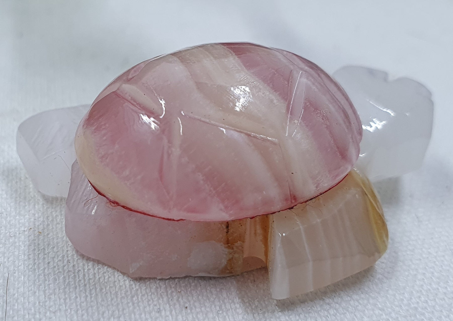 Damaged Item - Red Onyx Turtle #1