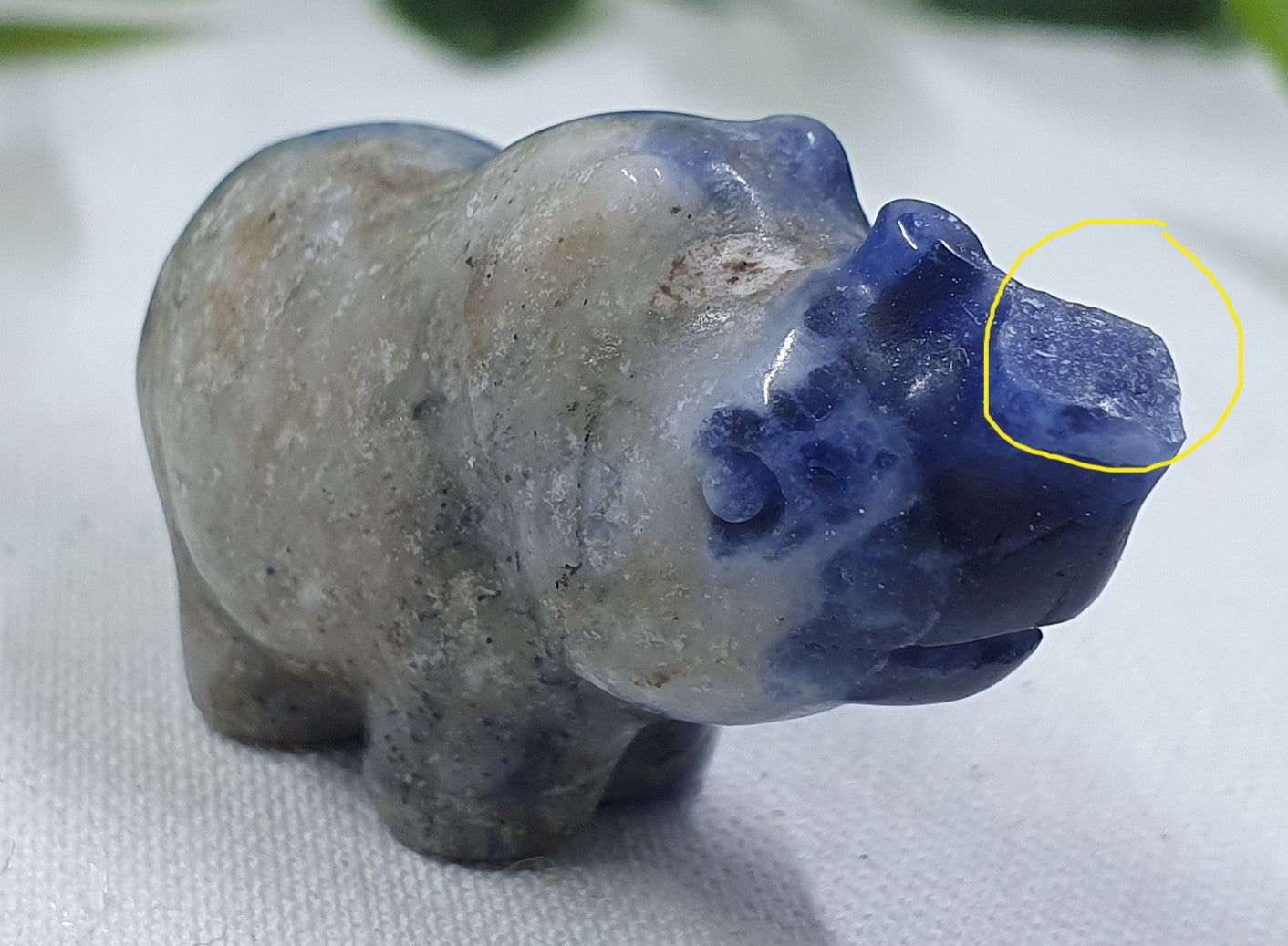 Damaged Item - Sodalite Rhinoceros Carving #1