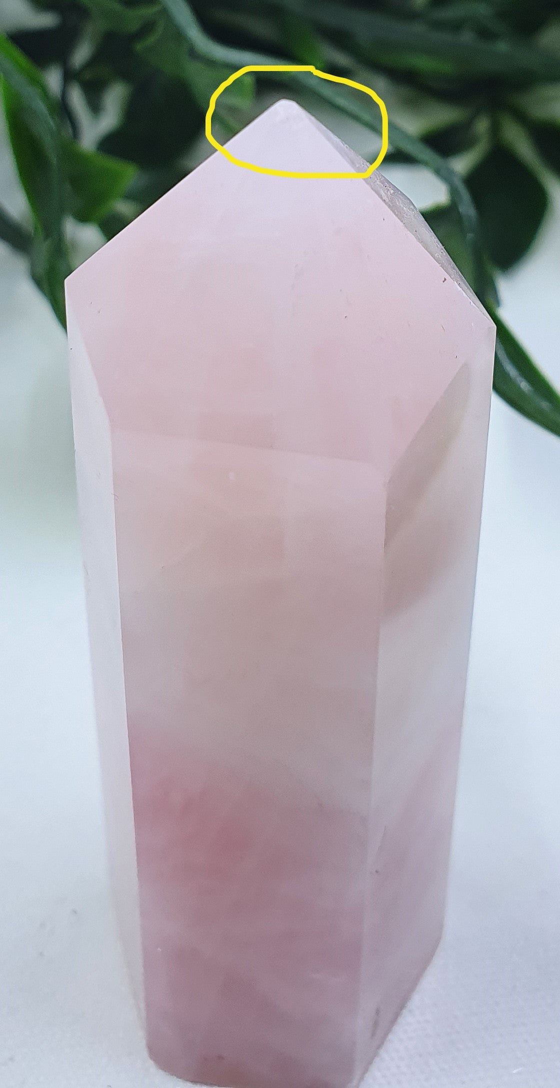 Damaged Item - Rose Quartz Point #1